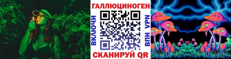 Галлюциногенные грибы Cubensis  Красный Кут 